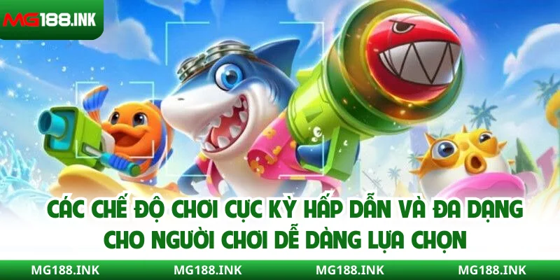 Các chế độ chơi cực kỳ hấp dẫn và đa dạng cho người chơi dễ dàng lựa chọn
