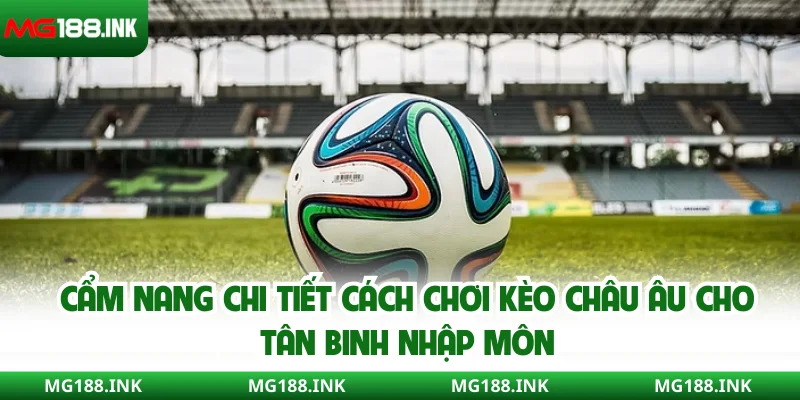 Cẩm nang chi tiết cách chơi kèo Châu Âu cho tân binh nhập môn