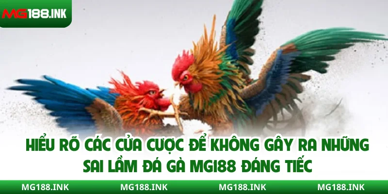 Hiểu rõ các cửa cược để không gây ra những sai lầm đá gà MG188 đáng tiếc