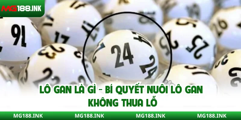 Lô gan là gì - Bí quyết nuôi lô gan không thua lỗ