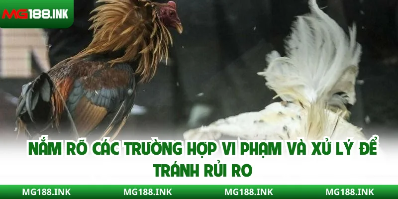 Nắm rõ các trường hợp vi phạm và xử lý để tránh rủi ro