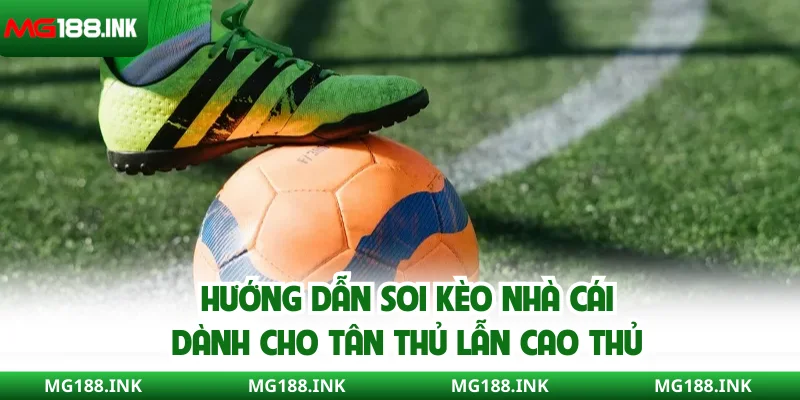 Hướng dẫn soi kèo nhà cái dành cho tân thủ lẫn cao thủ